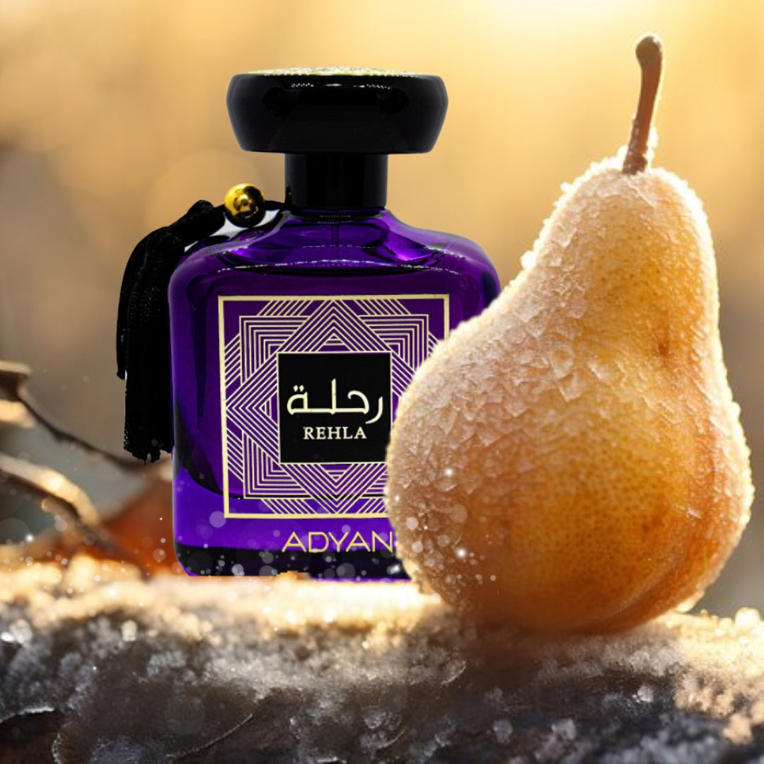 Perfume Adyan By Anfar Rehla Eau De Parfum 100ml Volume Da Unidade 100 Ml ORIGINAL