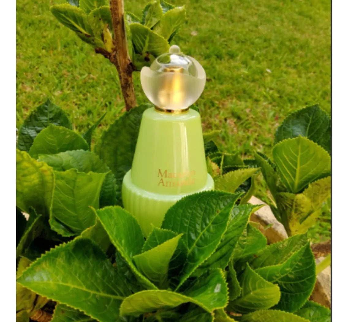 Tea Time à Paris Macaron Amande Jeanne Arthes