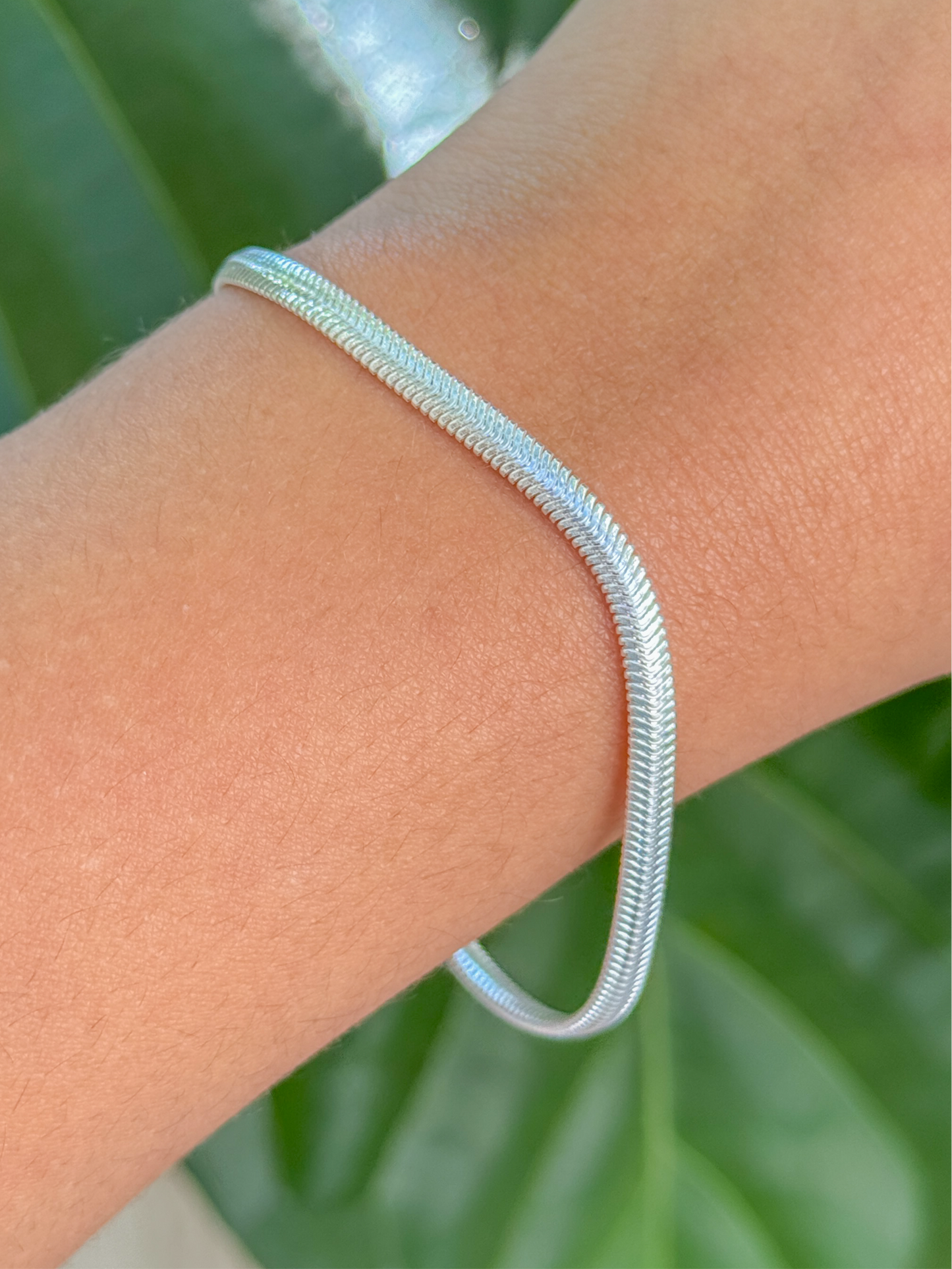 PULSEIRA LACRAIA