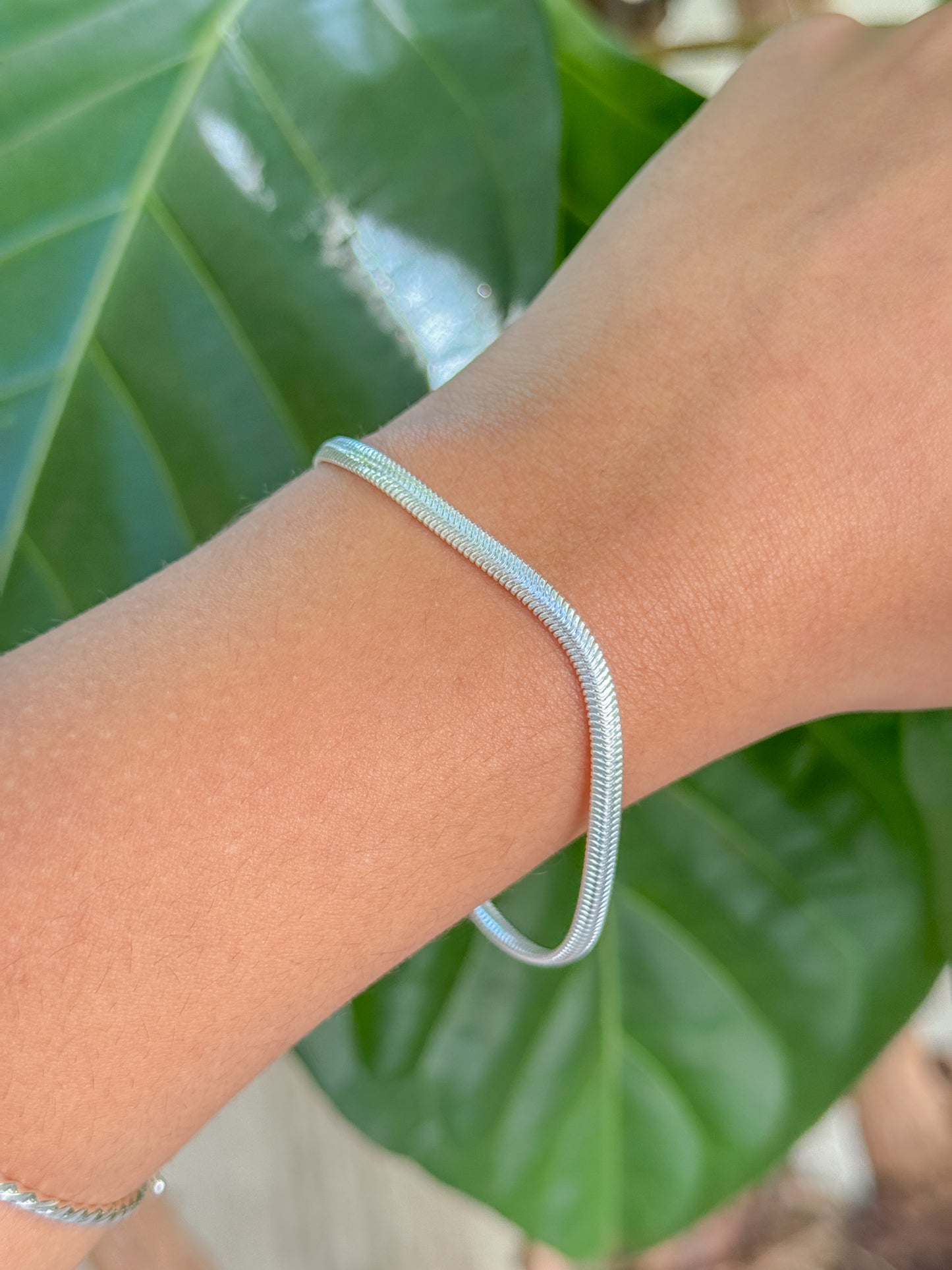 PULSEIRA LACRAIA